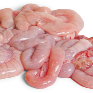 Pork Small Intestines